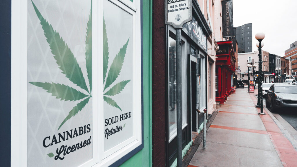 Cannabis Shop - INNORHINO