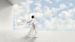 Media Kit for PANTONE 11-4201 Cloud Dancer